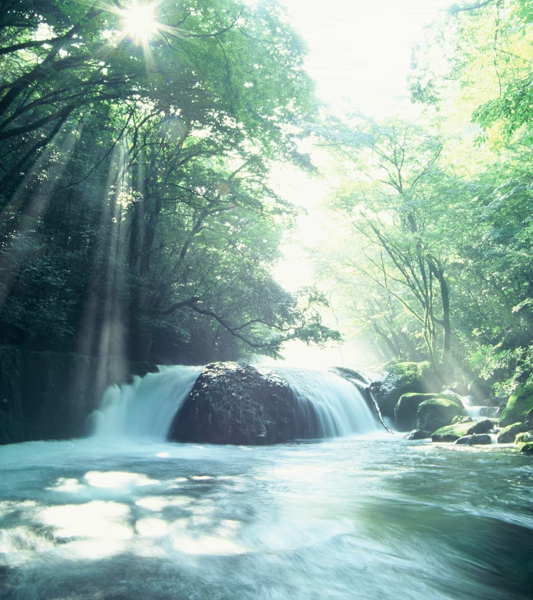 菊池市写真